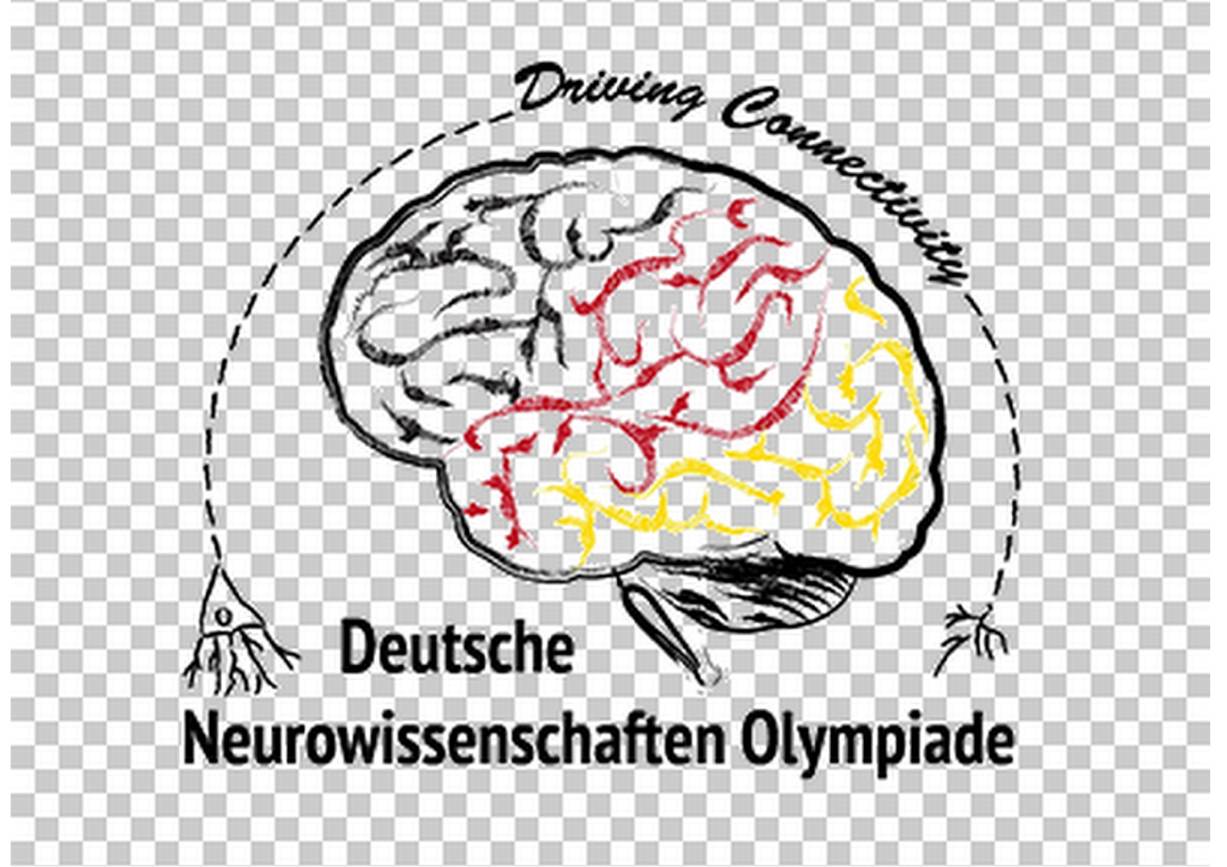 logos neuroolympiade