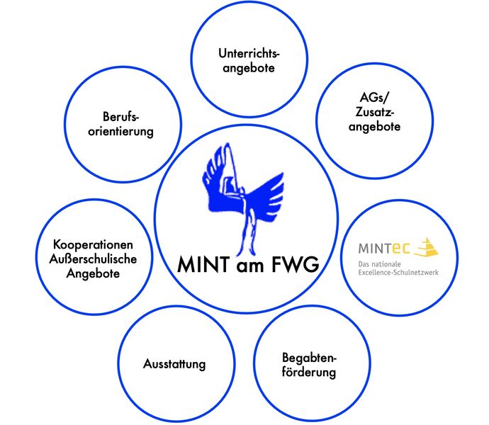 MINT_am_FWG_Übersicht.jpeg